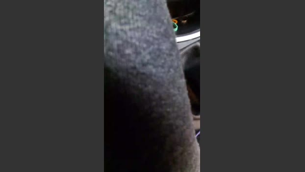 MermaidNTiger fuckme Webcam SHOW @ Cam4 25-02-2026