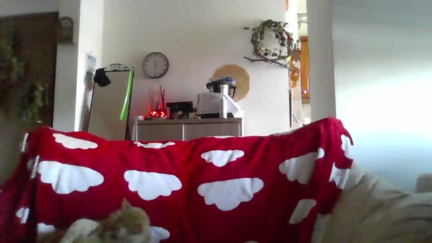ginnygi XXX Webcam SHOW @ Cam4 26-02-2026