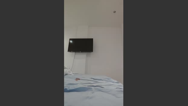 Xroxy237 analtoy Webcam SHOW @ Cam4 26-02-2026
