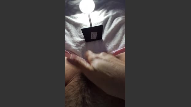 layla229 toys Webcam SHOW @ Cam4 01-03-2026