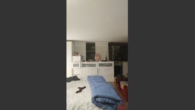 Penele ass Webcam SHOW @ Cam4 07-03-2026
