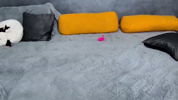 Jackandmelinda_ fuckface Webcam SHOW @ Cam4 08-03-2026