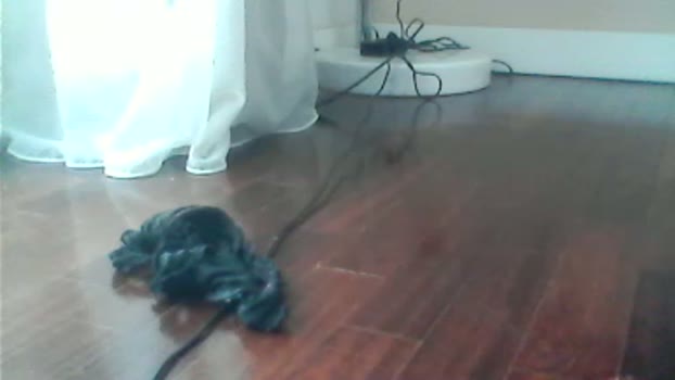 Martina_Porca sexybody Webcam SHOW @ Cam4 10-03-2026