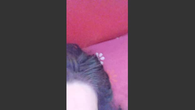 Heyde2026 hard Webcam SHOW @ Cam4 13-03-2026