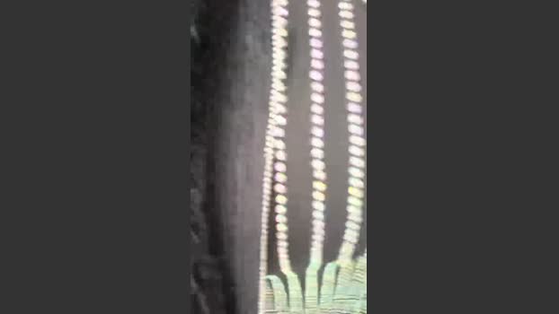 Adelaide986 amateur Webcam SHOW @ Cam4 21-03-2026