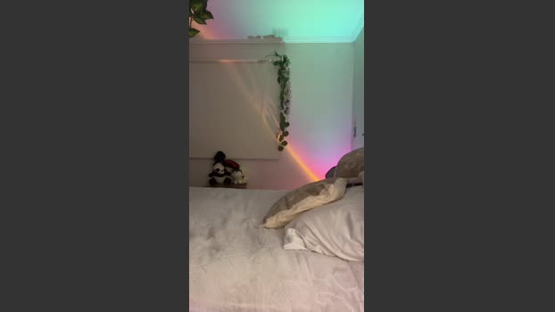 Sugarmagenta Webcam Webcam SHOW @ Cam4 21-03-2026