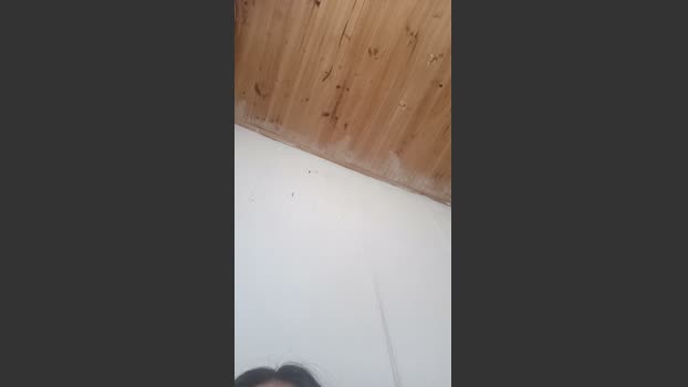Ignaciastell beauty Webcam SHOW @ Cam4 25-03-2026