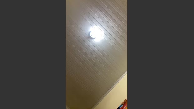 Kacaudocerrado natural Webcam SHOW @ Cam4 28-03-2026