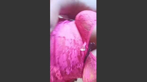 LylySilva horny Webcam SHOW @ Cam4 31-03-2026