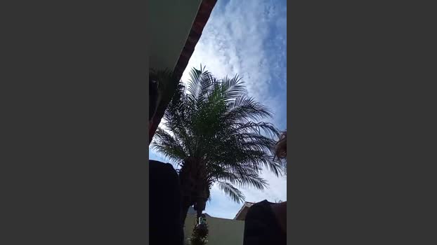 Casaldivertidoo bigboobs Webcam SHOW @ Cam4 01-04-2026