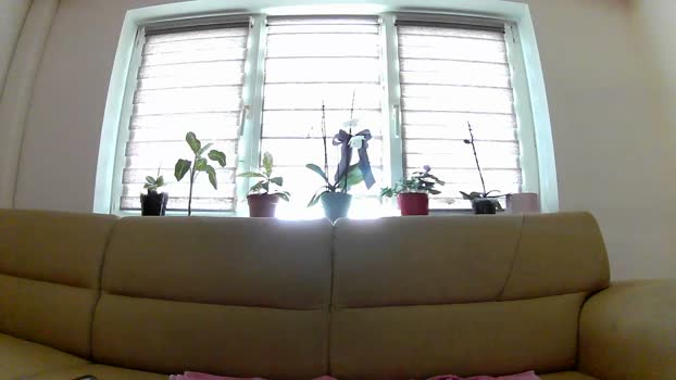 have_funnn big Webcam SHOW @ Cam4 01-04-2026