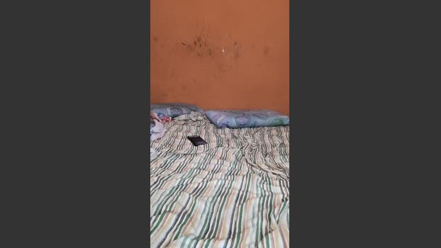 Riirii93 fuck Webcam SHOW @ Cam4 03-04-2026