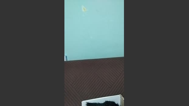 mica224 hot Webcam SHOW @ Cam4 06-04-2026