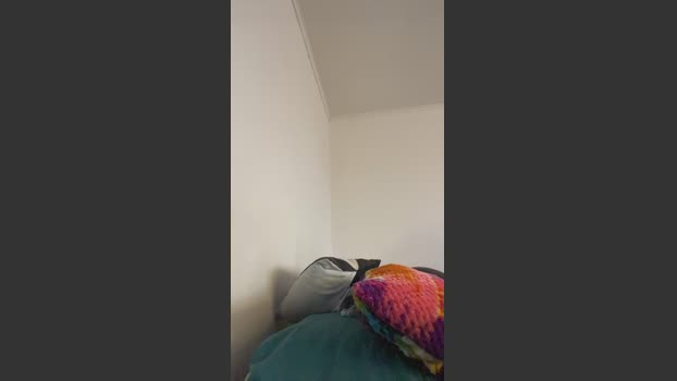 Reedgyal jerkoff Webcam SHOW @ Cam4 07-04-2026