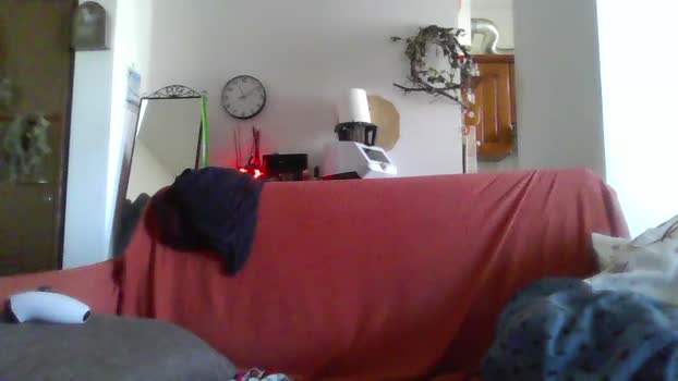 ginnygi orgasm Webcam SHOW @ Cam4 07-04-2026