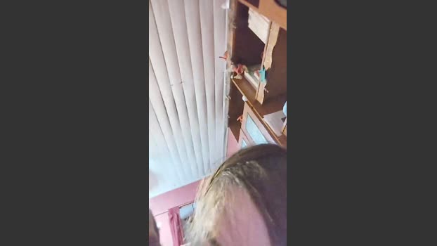 Heyde2026 legs Webcam SHOW @ Cam4 08-04-2026