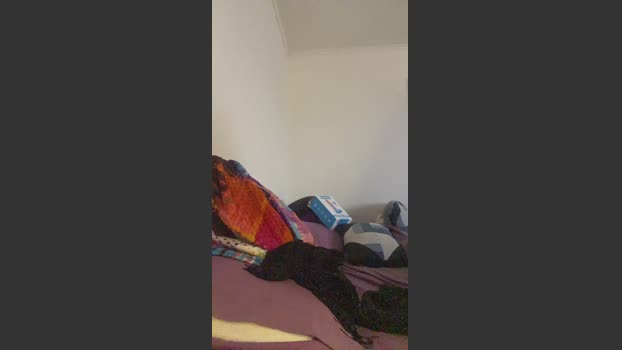 Reedgyal cute Webcam SHOW @ Cam4 09-04-2026