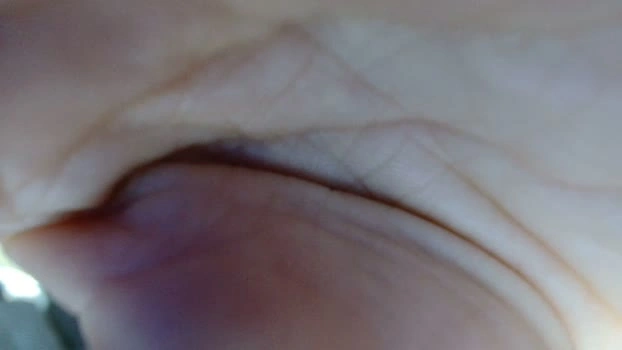 ⬇️ pussycatt0 17-04-2026 Download kissing sexybody fuck oral