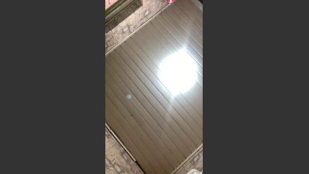 ⬇️ aninhadosit 26-04-2026 Download big moan bj-dildo blowjob