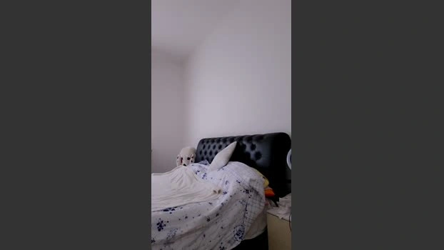 ⬇️ mariaperla 29-04-2026 Download sexykitty fuckme ass Topless