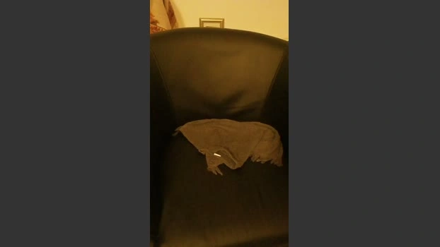 Ragazza90 03-06-2026 Download blowjob fuckher naked beauty