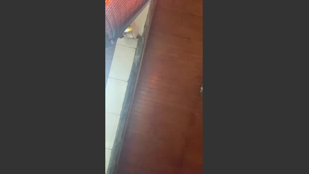 yourdevil666 11-06-2026 Download skinny sexyfeet amateur Pretty