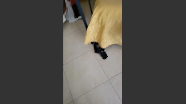 coppiacam99 12-06-2026 Download yummy hard analsex horny