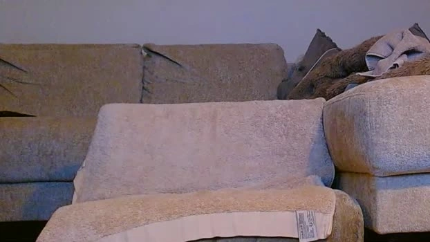 nightvibecouple 12-06-2026 Download fuckpussy Ass oral kiss