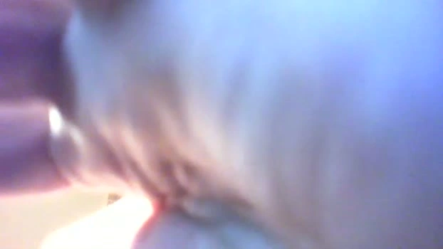 SoundElitez 22-06-2026 Download sexykitty Show kiss toys