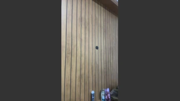 CasalPV35 26-06-2026 Download orgasm toys fuckher oral